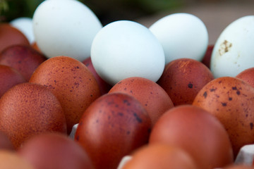 natural ecological eggs of brown and blue color