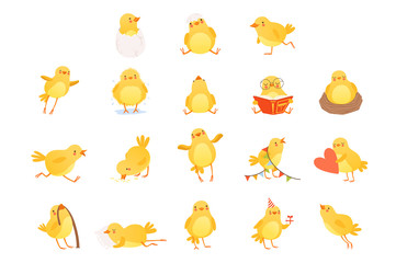 Set of funny yellow chicken in various situations. Cartoon character of little farm bird. Isolated flat vector design for postcard, sticker or children s book © topvectors