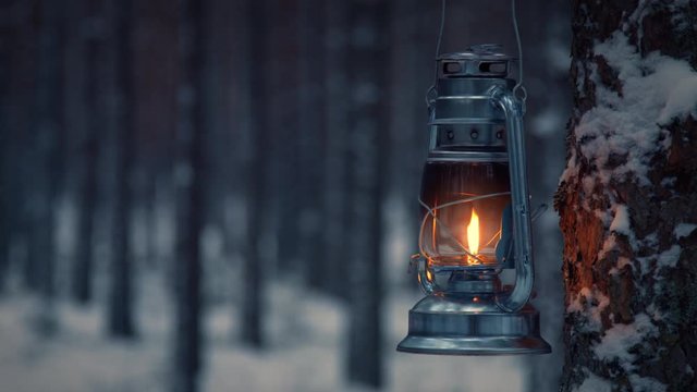 Lantern hanging on a tree in snow covered forest in winter