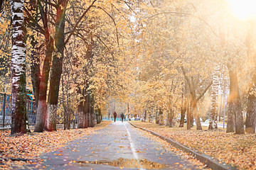 Autumn rain in the park