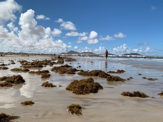 Obraz premium huge and amazing Famara beach at the Lanzarote, Canary Islands