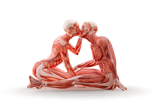 Man and woman love partners,  musculature medical anatomy figures sitting, woman kissing man, isolated. Relationship and  biological compatibility concept. 3D render