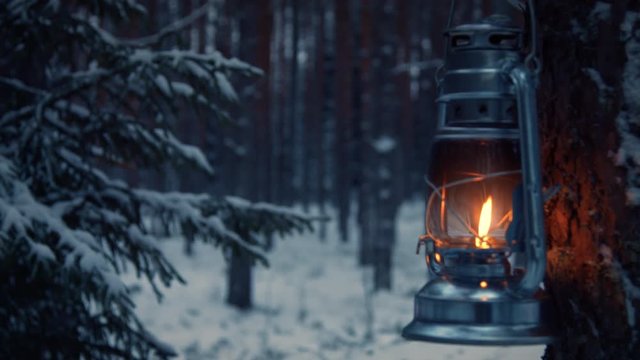 Lantern hanging on a tree in snow covered forest in winter