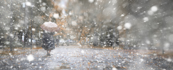 Background autumn park in the first snow