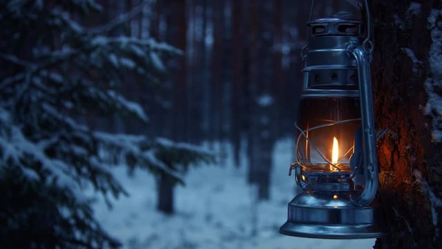 Lantern hanging on a tree in snow covered forest in winter