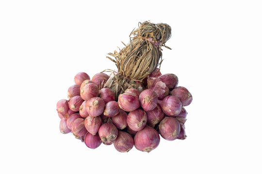 Shallots