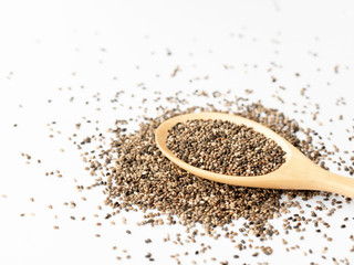 chia seed