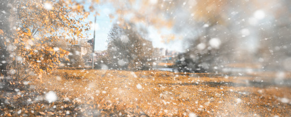 Background autumn park in the first snow