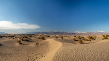 Fototapeta na wymiar Death Valley National Park, Mojave Desert lone road, California, USA: The hottest place on Earth
