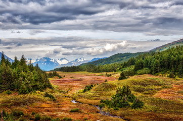Stunning landscape of a winding stream running through the wilderness of the Chugach mountains in Alaska