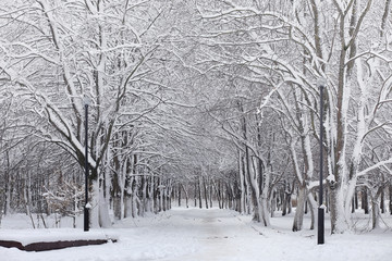 Snow-covered winter park and benches. Park and pier for feeding ducks and pigeons.Family on a walk...