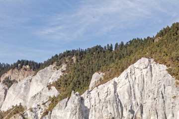 View of cliffs from sunny autumnal Ruinaulta - Rheinschlucht (Rhine canyon) near Versam-Safien, Switzerland