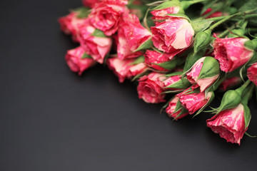 Bouquet of red roses on a black matte background