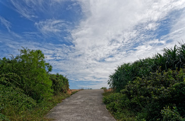 Fototapeta na wymiar road, green jungle and blue sky