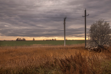 Obraz premium Yellow sky, orange grass and green winter crops