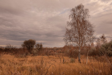Fototapeta na wymiar Russian autumn in countryside