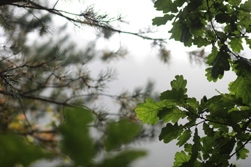End of summer season in the park