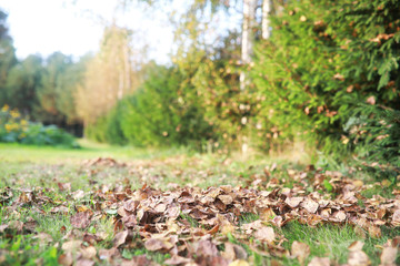 End of summer season in the park