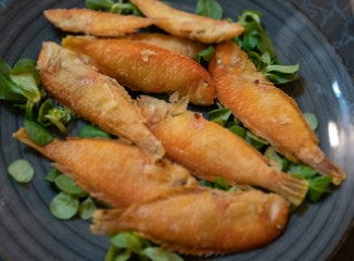 Calabrian fried fish called surici (mice), seabed fish. Pearly Razorfish or Cleaver Wrasse  (Xyrichtys novacula)