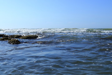 water alive 05