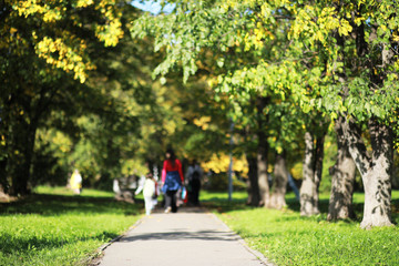 Fototapeta premium End of summer season in the park