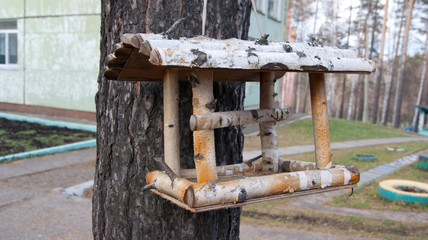 feeders for small birds