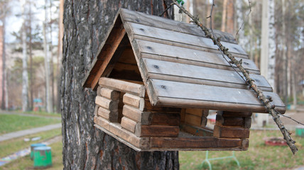 feeders for small birds