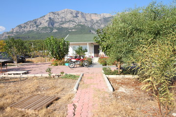 Fototapeta premium house on the beach