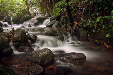 waterfalls flow in the middle of the forest, the water is clear and can be drunk