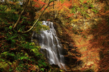紅葉の滝