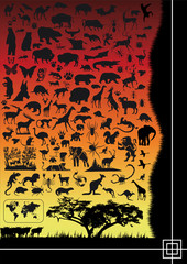 animali selvatici silhouette