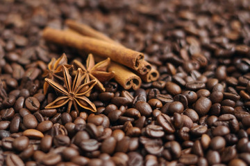 Coffee beans, star anise and cinnamon sticks. Selective focus