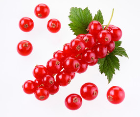 REDCURRANTS