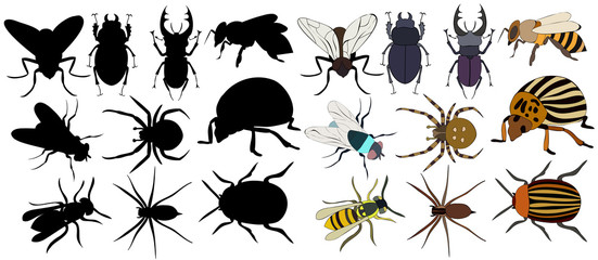 set of silhouettes of different insects