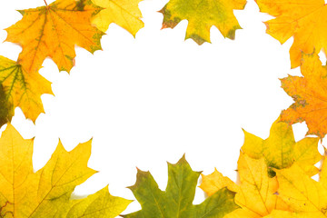 Composition with autumn leaves and space for text on white background, top view