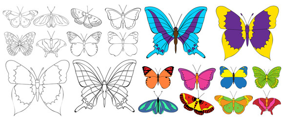 isolated, set of beautiful butterflies coloring book