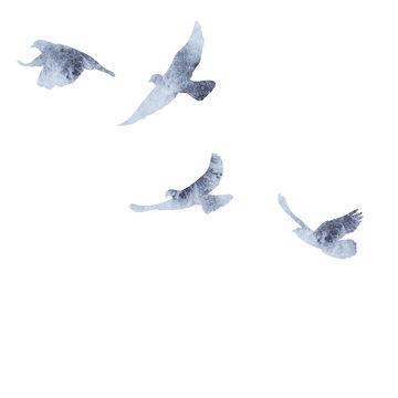 flock of birds flying, gray watercolor silhouette
