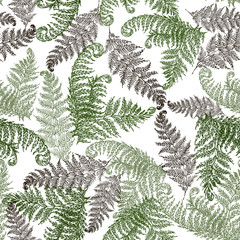 Fern herbs, tropical forest plant leaves seamless vector wrapping paper. Modern herbal pattern. Bracken foliage, forest exotic leaves tropical fern grass herb seamless fabric background.