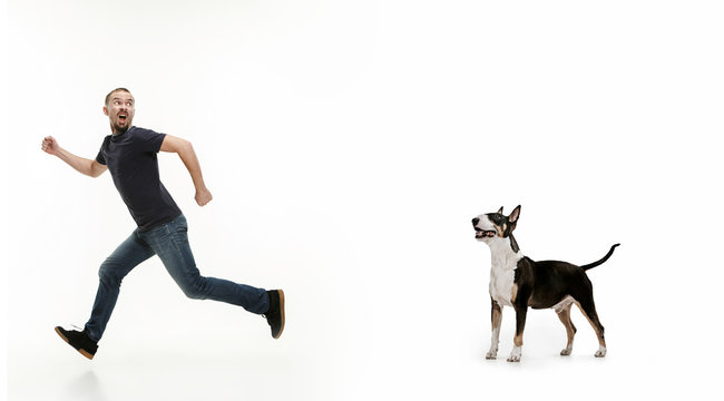 Emotional Portrait of scared man and his dog, concept of friendship and care of man and animal. Bull Terrier type Dog on white studio background