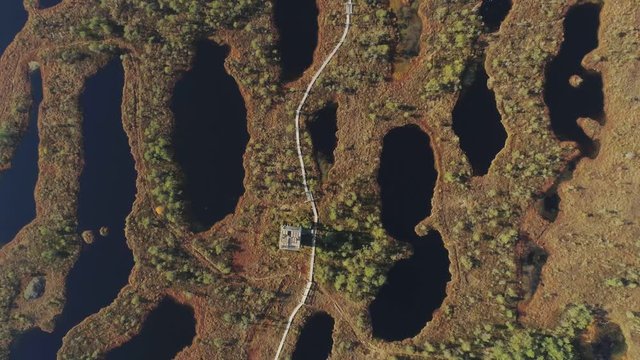 Swamps in Kemeri a summer day with fields of beautiful lakes 4K Latvia Drone flight
