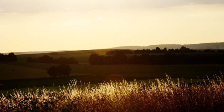 landleben