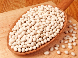 HARICOT BEANS