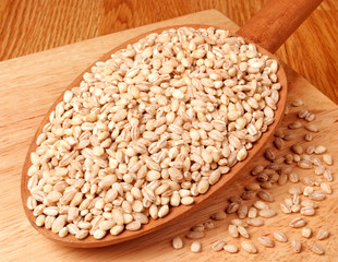 PEARL BARLEY