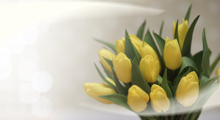  bouquet of yellow tulips in a vase on the floor