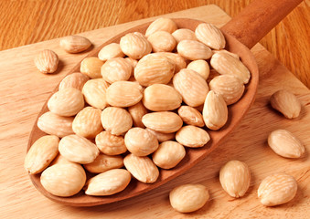 ROASTED MARCONA ALMONDS
