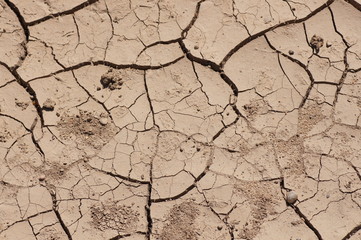 dried cracked ground without plants