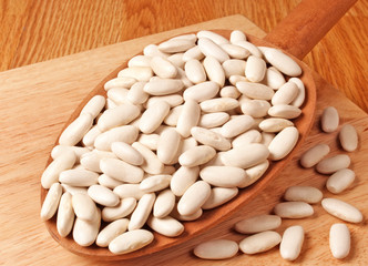 CANNELLINI BEANS / ALUBIA BEANS