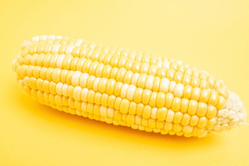 Fresh corn on yellow background
