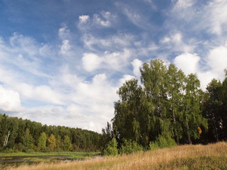 Obraz premium Russian forest. Beautiful sky with clouds. Russian summer nature. Russia, Ural, Perm region