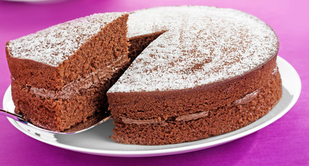 Fototapeta na wymiar CHOCOLATE SPONGE CAKE
